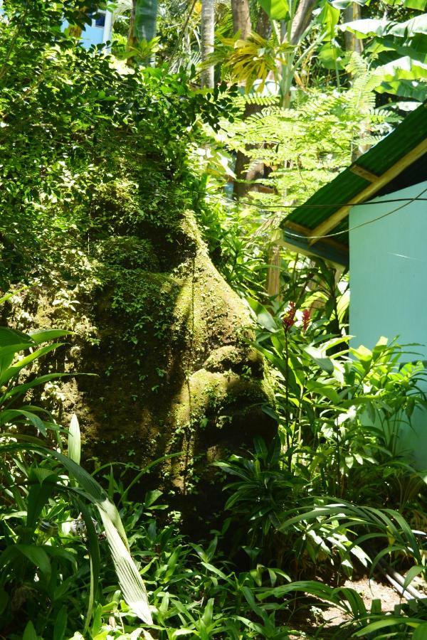 Hotel Luna Llena Nicoya Eksteriør bilde